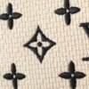 78-Louis Vuitton Chain Bag