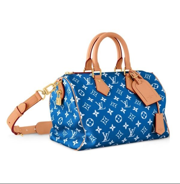 A008F98437200A6EFCF9E2A2600E028B 12-LV Speedy40
