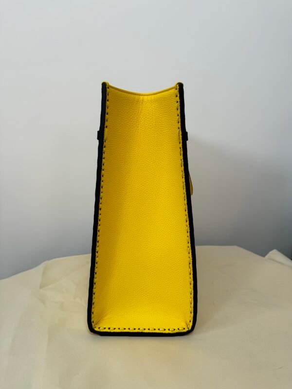 e728afa8d8c77b665ce3e4e4234873d7 13-FENDI Sunshine