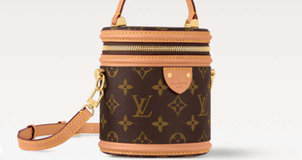 m20250620172848 07-LV Nano Cannes Bag