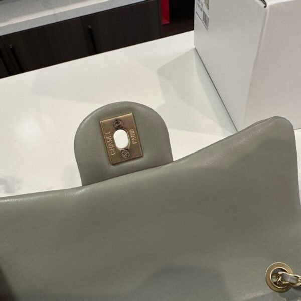 03c536515441afdbaff1a5bf64ff11ee4cfa7858 103-Chanel Classic Flap Bag with Gold Ball
