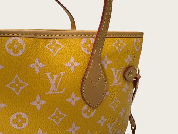 IMG_5167_副本 38-LV Louis Vuitton NEVERFULL PM