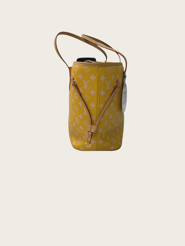 IMG_5168_副本 38-LV Louis Vuitton NEVERFULL PM