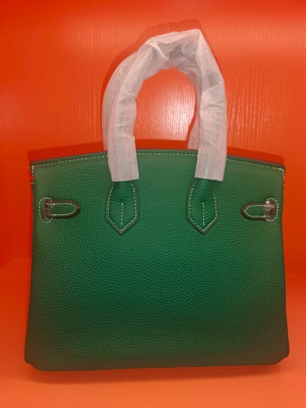058-Hermes Birkin25
